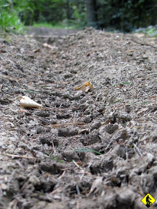 fota 070.jpg - Toczymy się dalej. Butów nie mam, ponieważ chcę pokazać, że nie sprzęt jest warunkiem do miłego spędzania wolnego czasu. Warunkiem jesteś Ty!